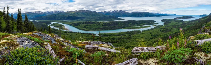 Unleash Adventure in Kenai, AK: Top Attractions and Activities for Outdoor Enthusiasts